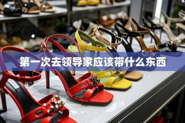 第一次去领导家应该带什么东西