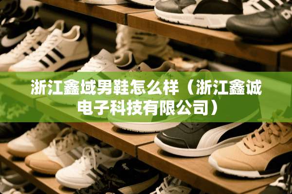 浙江鑫域男鞋怎么样（浙江鑫诚电子科技有限公司）