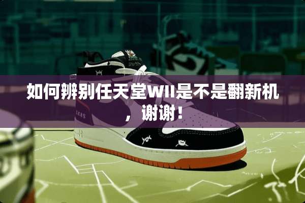 如何辨别任天堂WII是不是翻新机，谢谢！