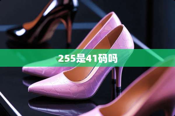 255是41码吗
