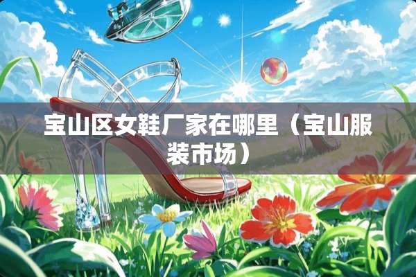 宝山区女鞋厂家在哪里（宝山服装市场）
