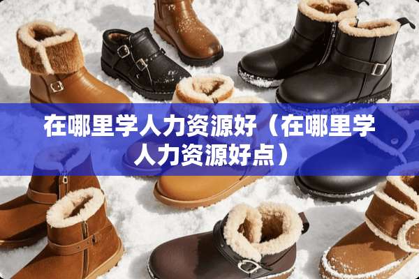 在哪里学人力资源好（在哪里学人力资源好点）