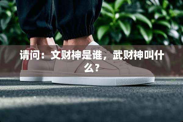 请问：文财神是谁，武财神叫什么？