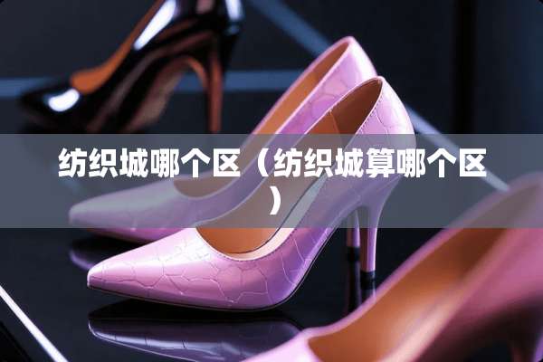 纺织城哪个区（纺织城算哪个区）