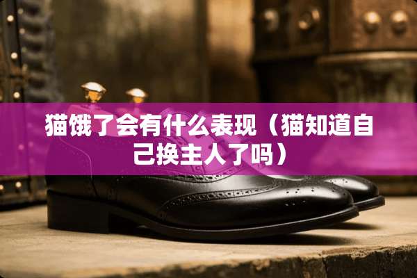 猫饿了会有什么表现（猫知道自己换主人了吗）