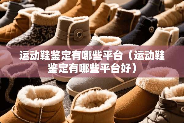 运动鞋鉴定有哪些平台（运动鞋鉴定有哪些平台好）