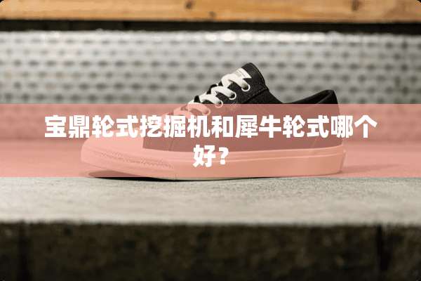 宝鼎轮式挖掘机和犀牛轮式哪个好？