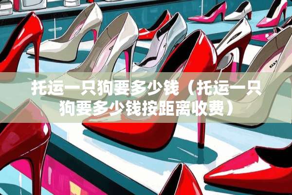 托运一只狗要多少钱（托运一只狗要多少钱按距离收费）