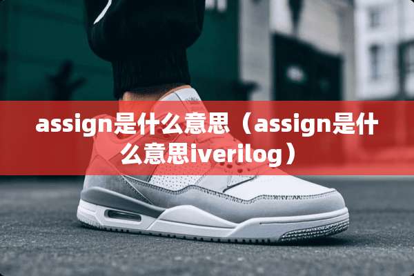 assign是什么意思（assign是什么意思iverilog）