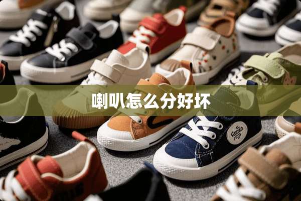 喇叭怎么分好坏