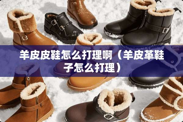 羊皮皮鞋怎么打理啊（羊皮革鞋子怎么打理）