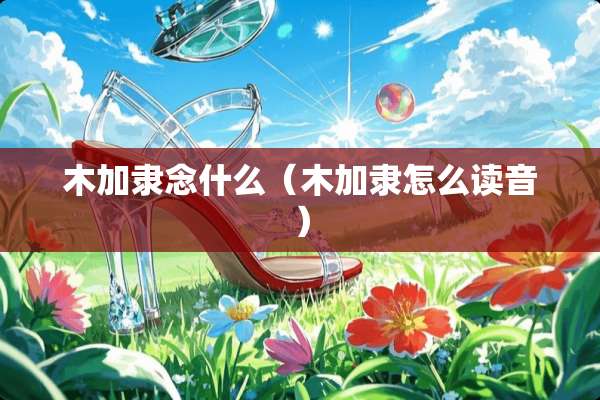 木加隶念什么（木加隶怎么读音）