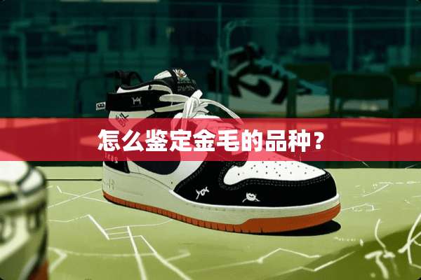 怎么鉴定金毛的品种？