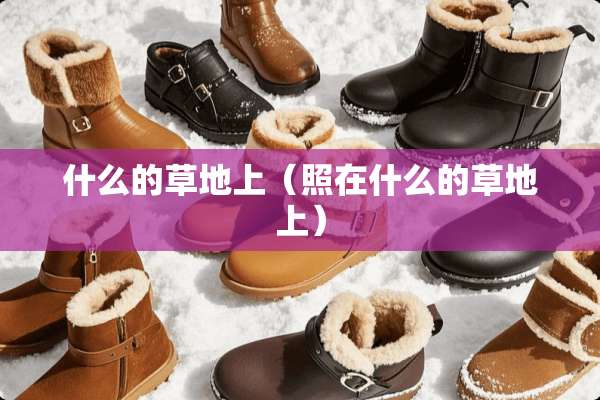 什么的草地上（照在什么的草地上）