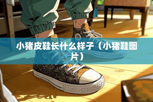 小猪皮鞋长什么样子（小猪鞋图片）