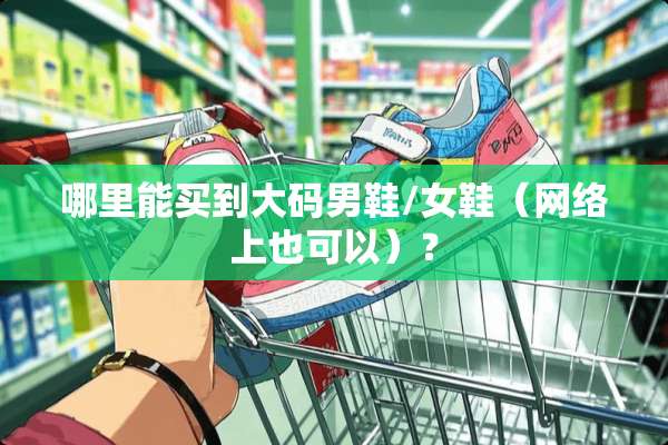 哪里能买到大码男鞋/女鞋（网络上也可以）？