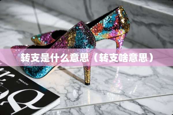 转支是什么意思（转支啥意思）