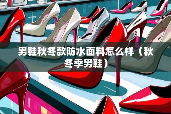 男鞋秋冬款防水面料怎么样（秋冬季男鞋）