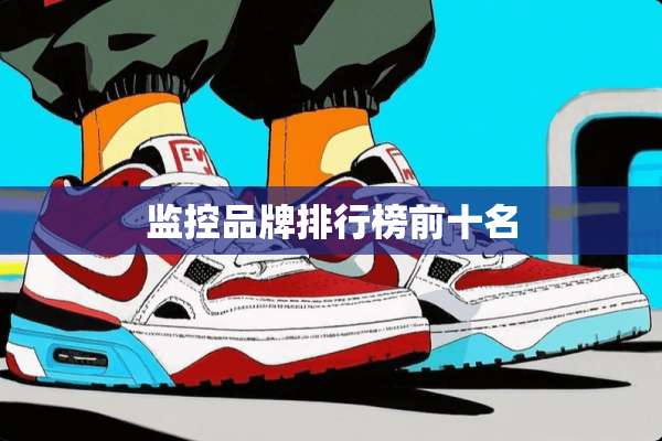 监控品牌排行榜前十名