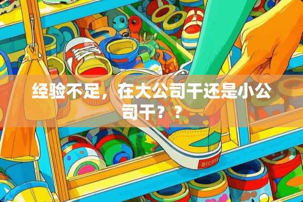 经验不足，在大公司干还是小公司干？？