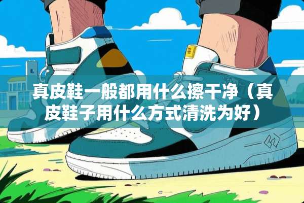 真皮鞋一般都用什么擦干净（真皮鞋子用什么方式清洗为好）