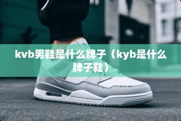 kvb男鞋是什么牌子（kyb是什么牌子鞋）