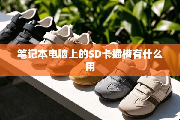 笔记本电脑上的SD卡插槽有什么用