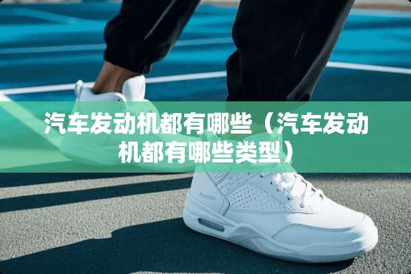 汽车发动机都有哪些（汽车发动机都有哪些类型）