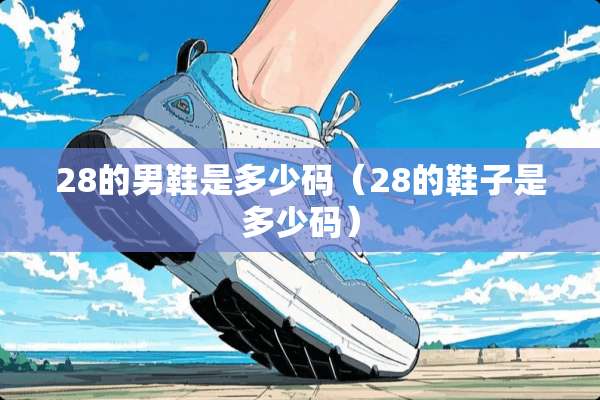 28的男鞋是多少码（28的鞋子是多少码）
