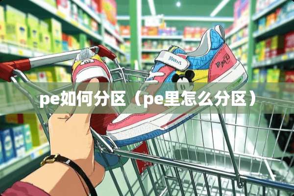 pe如何分区（pe里怎么分区）
