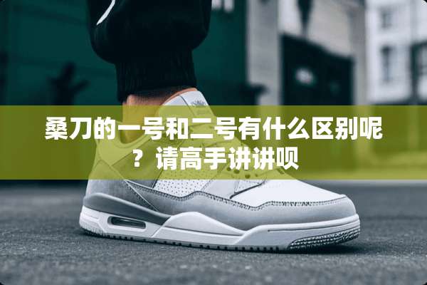 桑刀的一号和二号有什么区别呢？请高手讲讲呗