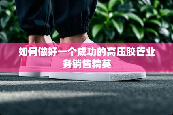 如何做好一个成功的高压胶管业务销售精英