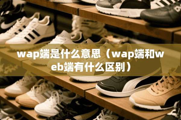 wap端是什么意思（wap端和web端有什么区别）