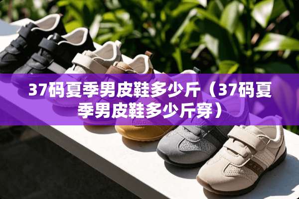 37码夏季男皮鞋多少斤（37码夏季男皮鞋多少斤穿）