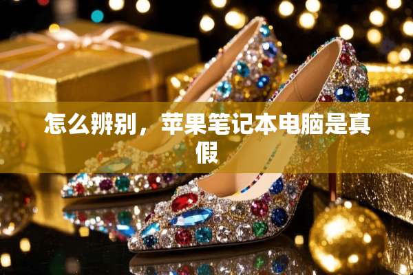 怎么辨别，苹果笔记本电脑是真假