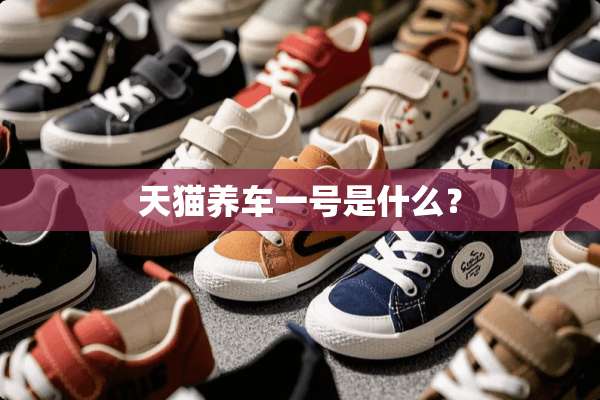 天猫养车一号是什么？