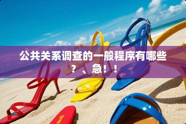公共关系调查的一般程序有哪些？、急！！