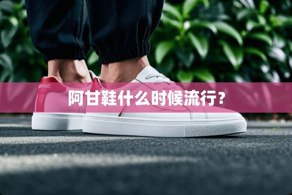 阿甘鞋什么时候流行？