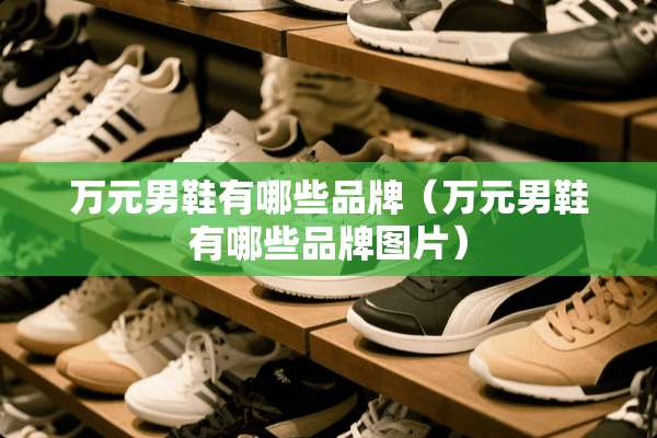 万元男鞋有哪些品牌（万元男鞋有哪些品牌图片）