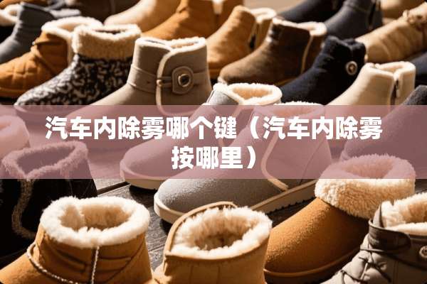 汽车内除雾哪个键（汽车内除雾按哪里）