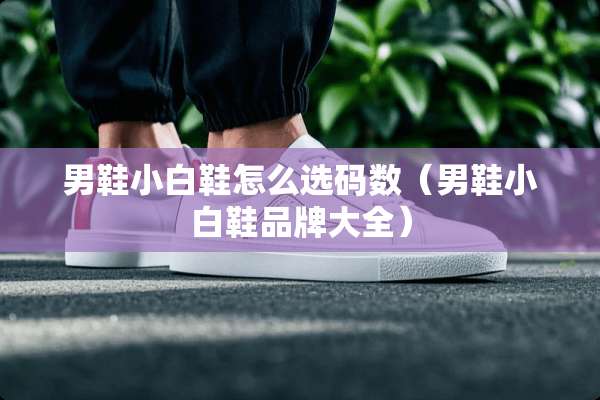 男鞋小白鞋怎么选码数（男鞋小白鞋品牌大全）