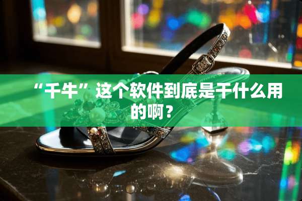 “千牛”这个软件到底是干什么用的啊？