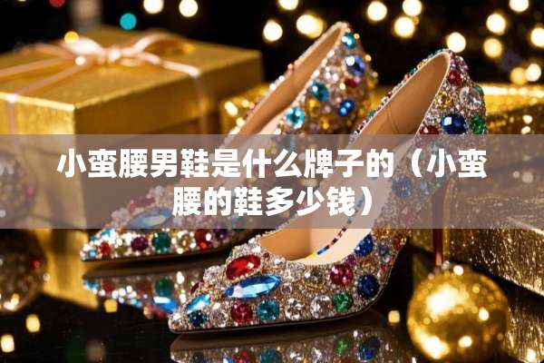 小蛮腰男鞋是什么牌子的（小蛮腰的鞋多少钱）