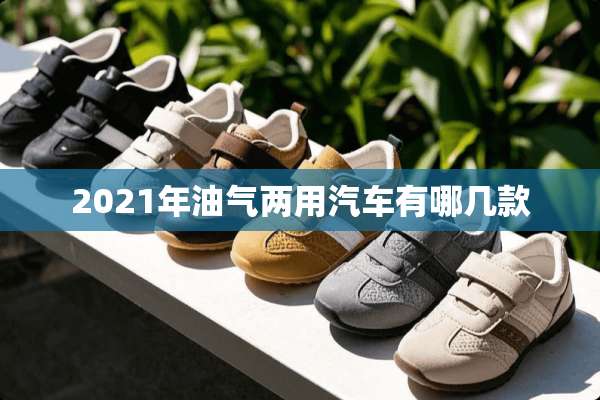 2021年油气两用汽车有哪几款