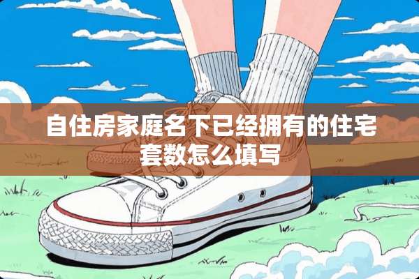 自住房家庭名下已经拥有的住宅套数怎么填写
