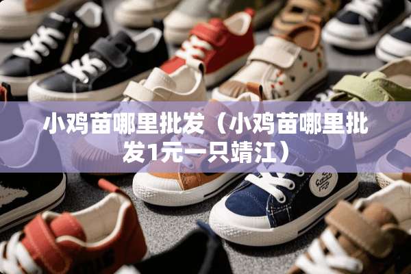 小鸡苗哪里批发（小鸡苗哪里批发1元一只靖江）