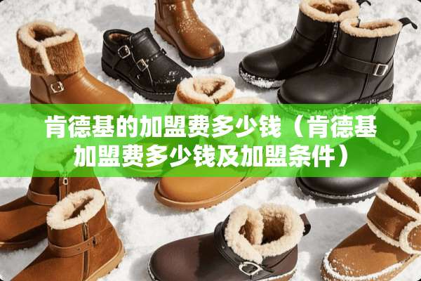 肯德基的加盟费多少钱（肯德基加盟费多少钱及加盟条件）