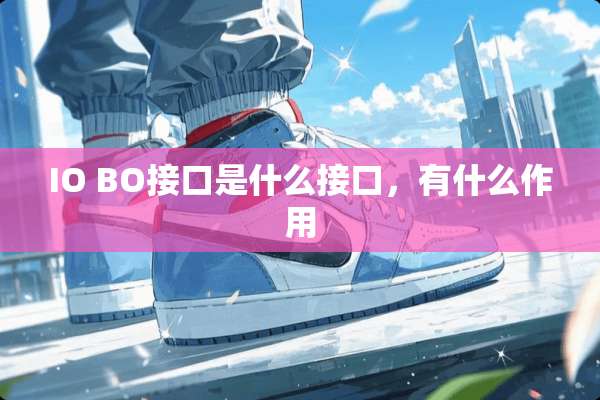 IO BO接口是什么接口，有什么作用
