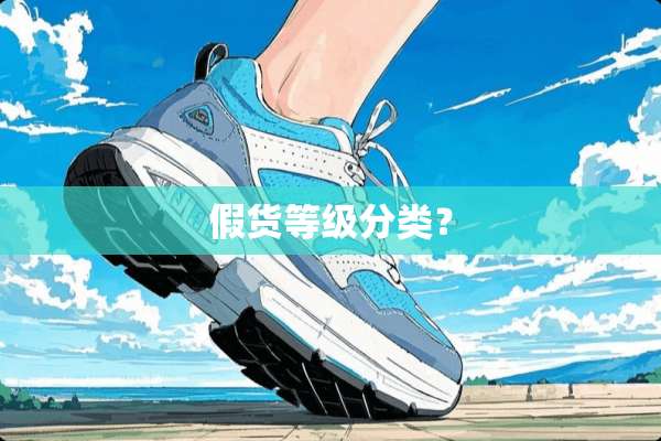 假货等级分类？