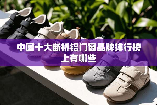 中国十大断桥铝门窗品牌排行榜上有哪些